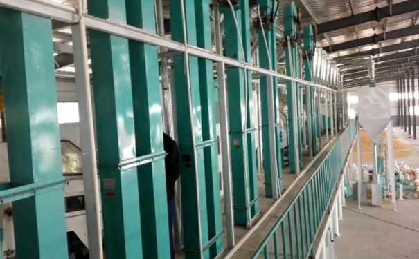 玉米加工设备